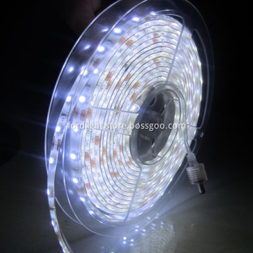 SMD2835 24v RGB Led Strip